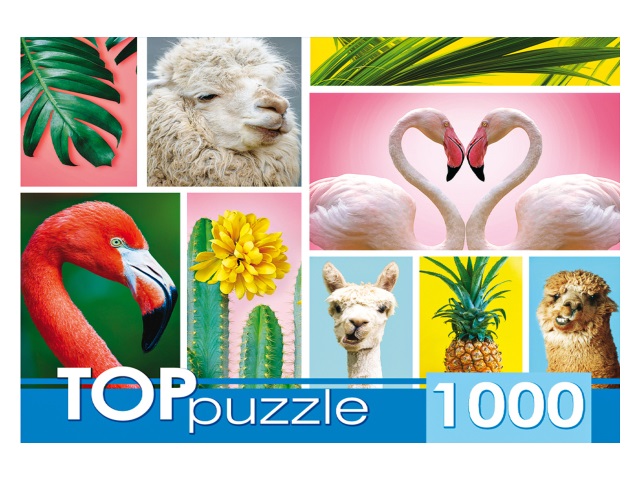 Пазлы 1000 деталей TOPpuzzle Модный коллаж ГИТП1000-4137