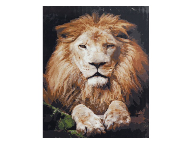 Картина по номерам 40*50см Рыжий кот Задумчивый лев Х-9181