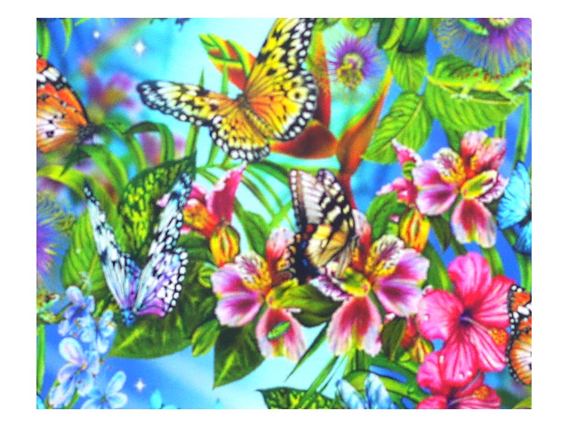 Алмазная мозаика 30*40см Basir Цветы бабочки МС-2062