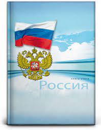 Книга учета 196л Prof Press Россия 160-7157