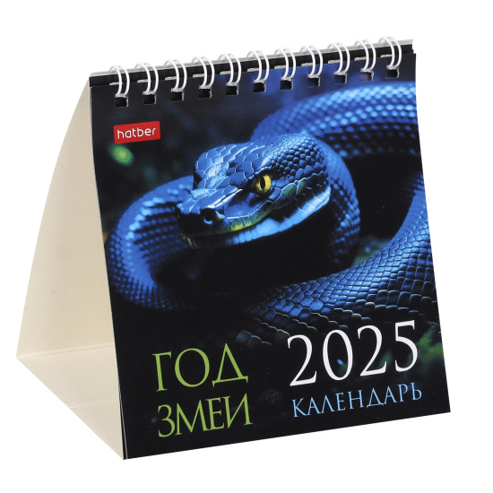 Календарь настольный 2025 домик на спирали Квадрат. Год змеи. Hatber. 12КД6гр_31110