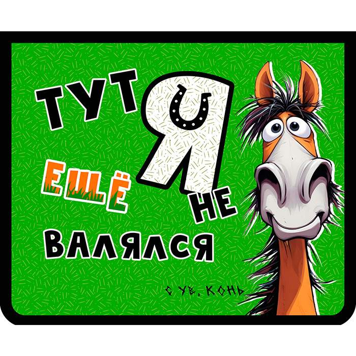 Папка для тетрадей А5 молния сверху.пластик 230/190/50 Веселый конь ПМ-А5-291/50