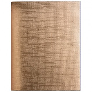 Тетрадь 96л линия Hatber Metallic 96Т5бвВ2