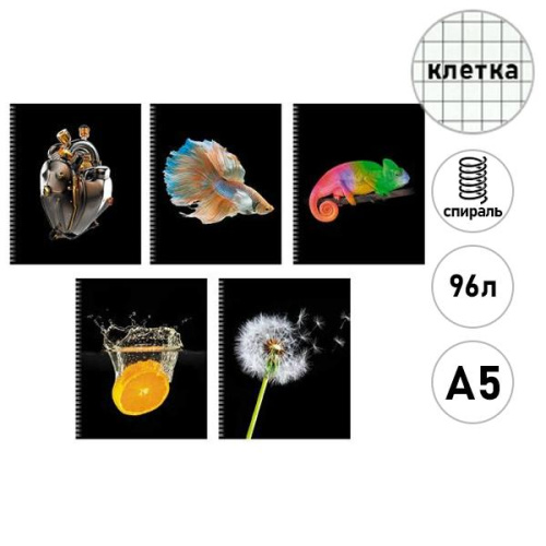 Тетрадь А5 на спирали м/обложка  96л Канц-Эксмо Chameleon ТС968552