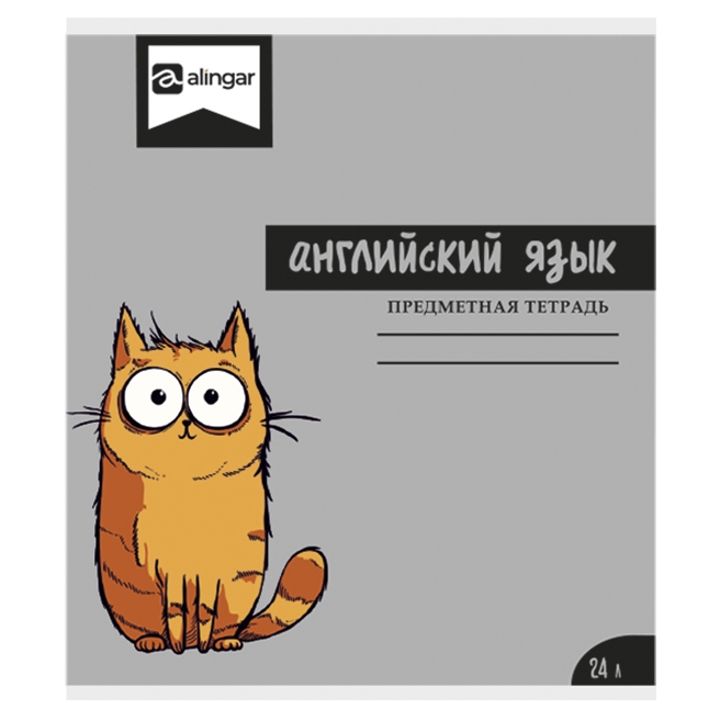 Тетрадь предметная  24л А5 Английский  язык со справочным материалом. скрепка AL13506/7 / 5/160