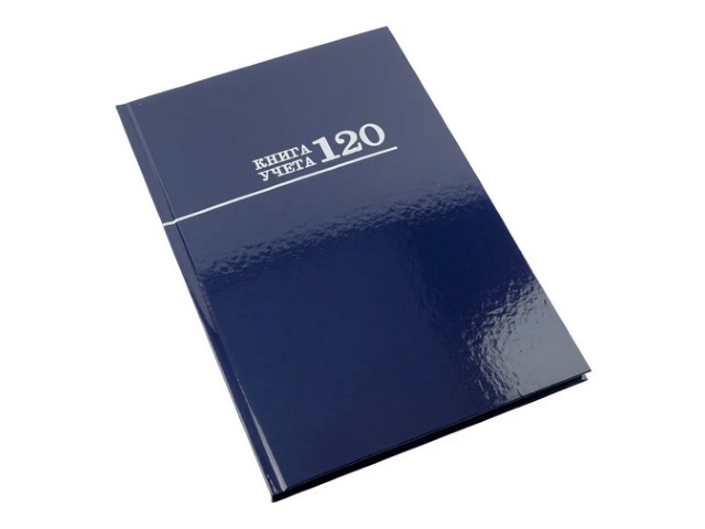 Книга канцелярская 120л Prof Press Книга учета Синяя 120-8671