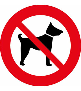 Наклейка информационная Miland Запрещено с собаками 9-84-0005