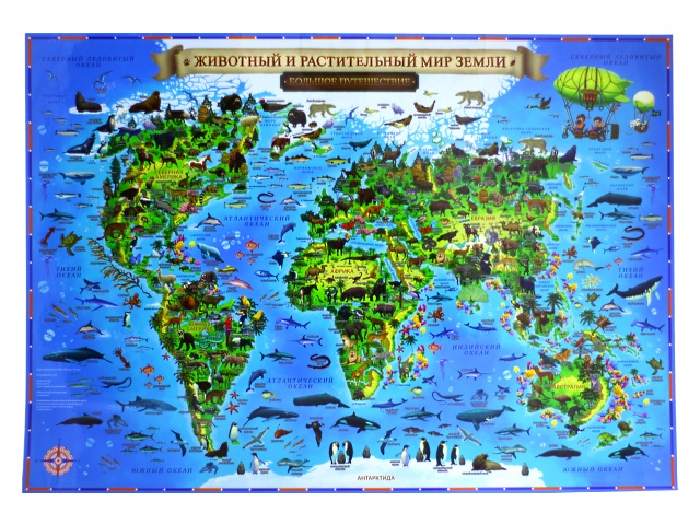 Карта Мира для детей Животный и растительный мир Земли  60*42см Globen КН031