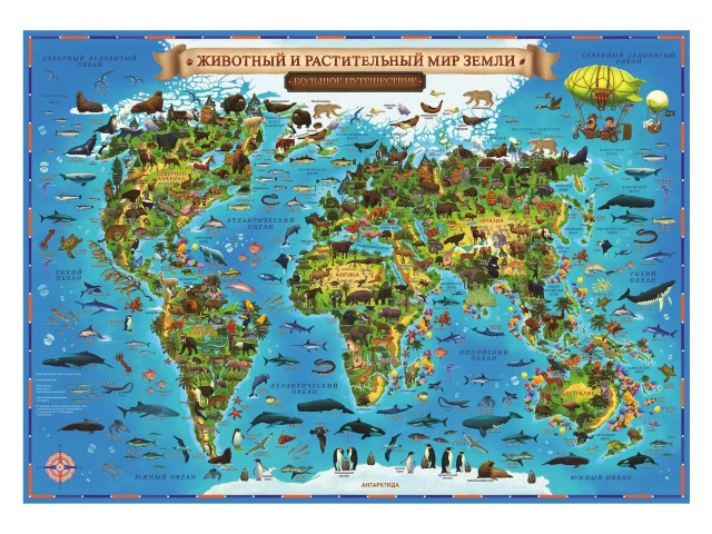 Карта Мира для детей Животный и растительный мир Земли 101*69см Globen КН008