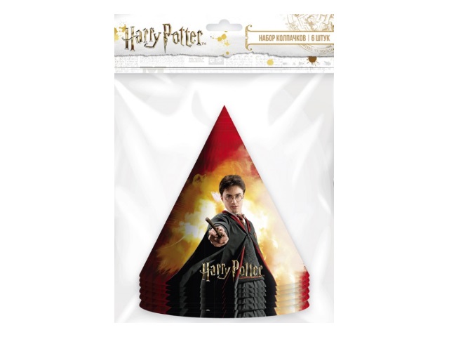 Колпаки картон NDPlay Harry Potter 6 шт. 278520